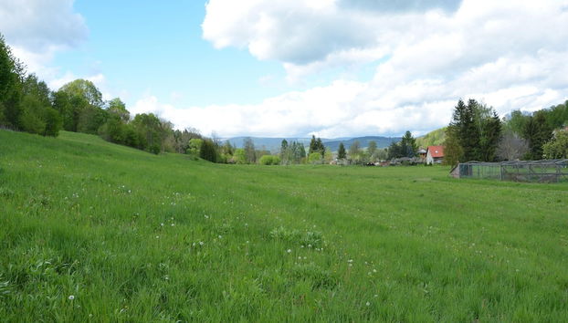 Zimmer