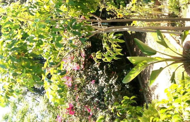 Foximanna on the North Floor in a Villa Surrounded by Greenery Facing the sea - Foto 54