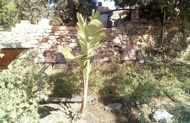 Foximanna on the North Floor in a Villa Surrounded by Greenery Facing the sea - Foto 38