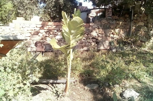 Photo 31 - Foximanna on the North Floor in a Villa Surrounded by Greenery Facing the sea