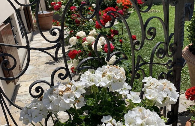 Welcome to Lush Tuscany and Beautiful Villa Adriano - Foto 28