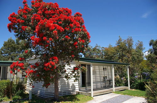 Photo 50 - Beauty Point Tourist Park