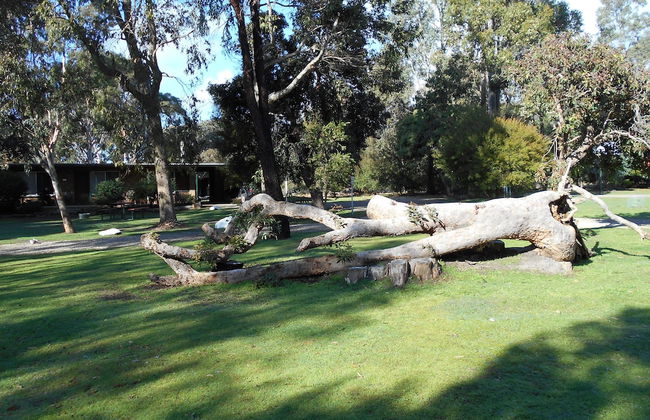 Grampians View Cottages and Units - Foto 44