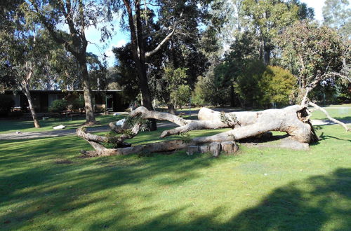 Foto 44 - Grampians View Cottages and Units