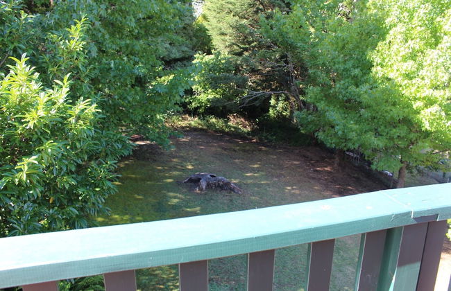 Golfers Delight - Photo 12