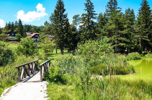 Photo 18 - House Fortin With Sauna Near Bloke Lake