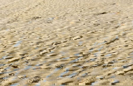 Cirpan Apart Otel - Foto 43