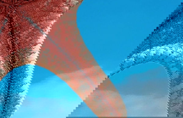 Cirpan Apart Otel - Foto 40