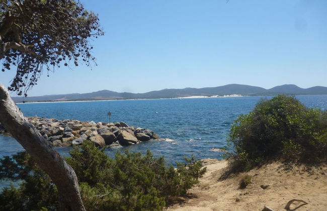 Studio in the Most Southern Point of the Island, Completely Fenced Super Price - Foto 13