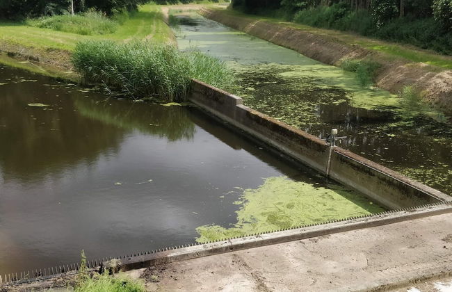 12 Person Holiday Home in Vaeggerlose - Foto 9