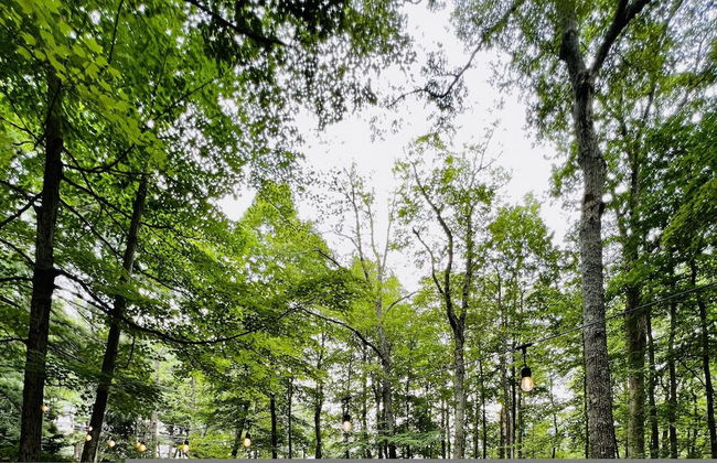 Fernwood Cottage A Poconos Retreat - Foto 26