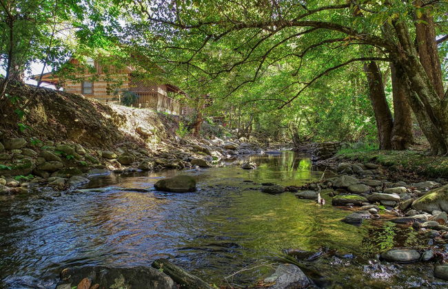 Creek Heaven - 2 Bedrooms, 2 Baths, Sleeps 6 Cabin by RedAwning - Foto 11