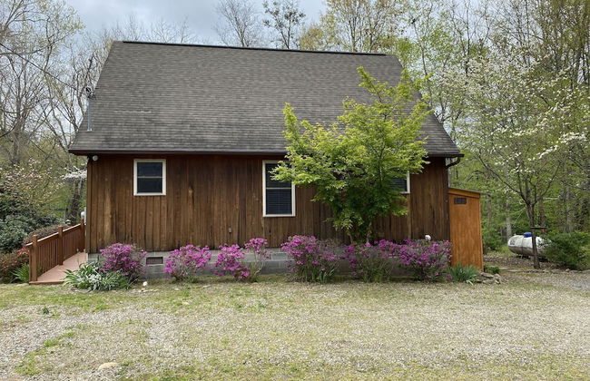 Gray's Place on Cosby Creek - 2 Bedrooms, 2 Baths, Sleeps 6 Home by RedAwning - Foto 15