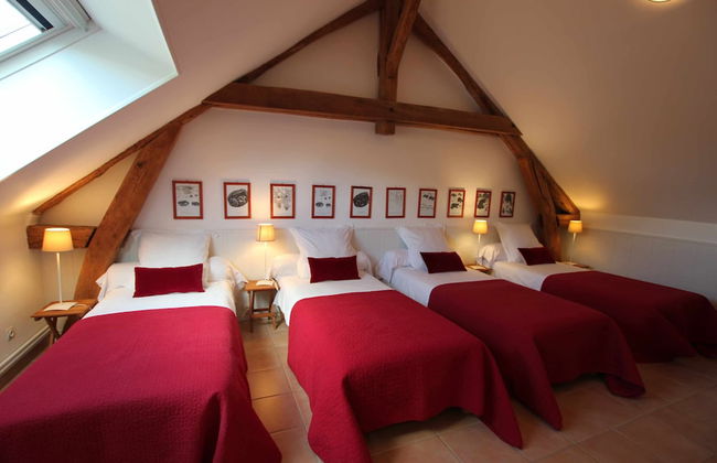 Domaine de Champouteau - Foto 12
