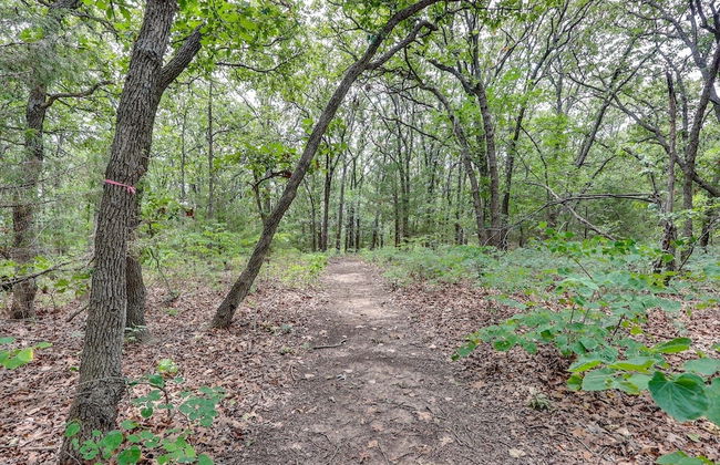 Cabin 10~ Cozy Toronto Lake Cabin ~ Walk To The Water 1 Bedroom Cabin by RedAwning - Foto 16