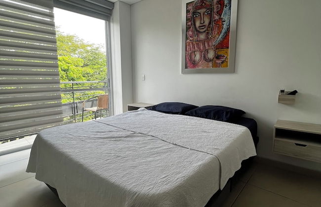 PENTHOUSE DOS BALCONES CENTRO DE CIUDAD - Foto 2