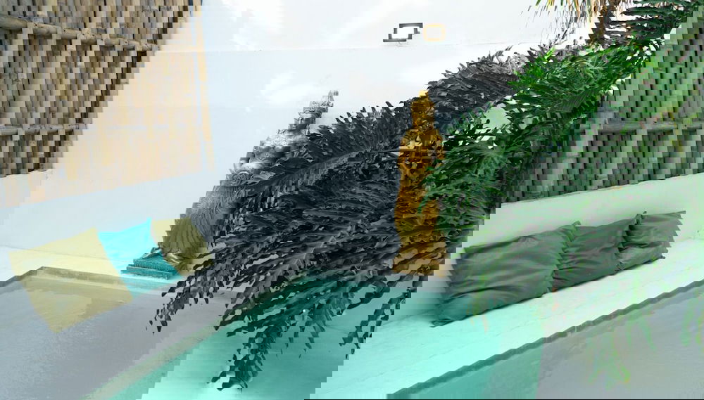 Image principale