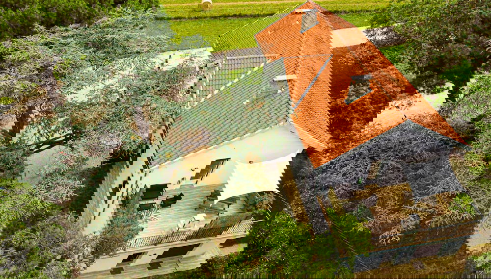 Primary image