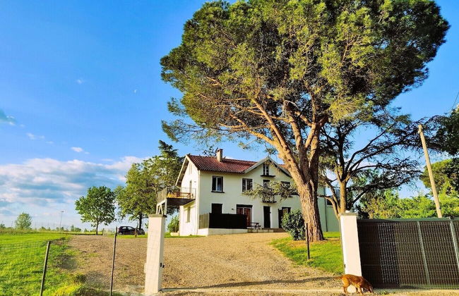 Le Cottage Nature Syrah - Photo 28