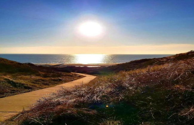 Sunny Zeeland Getaway - Foto 17