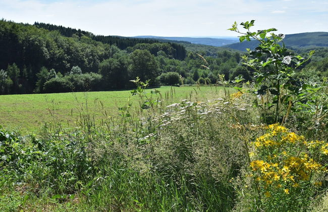 Boutique Holiday Home in Bouix With Garden - Foto 57