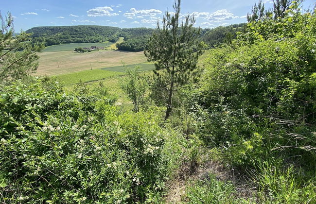 Boutique Holiday Home in Bouix With Garden - Foto 53
