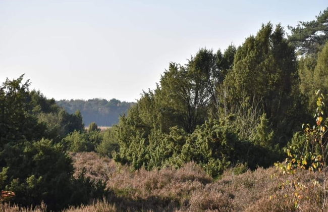 Stay at This Beautiful Accommodation in De Kiel - Foto 26