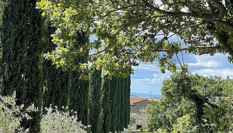 Foto 1 - Agriturismo Melodie Toscane