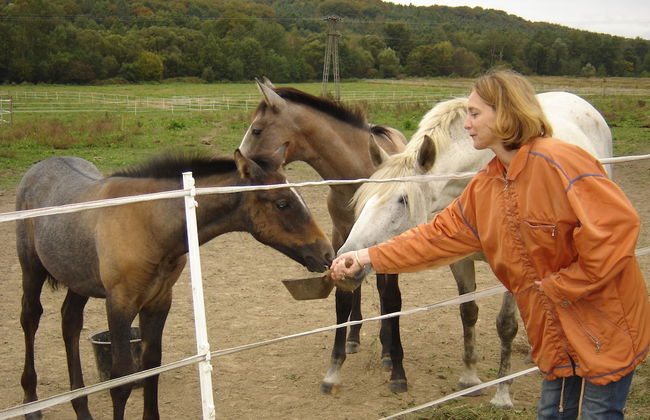 Kerca Bio Farm - Foto 52