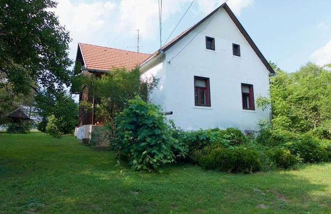 Kerca Bio Farm - Foto 70