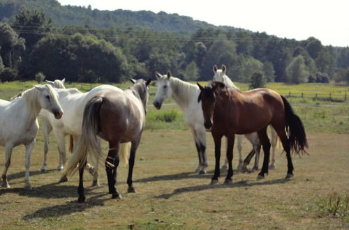 Photo 53 - Kerca Bio Farm