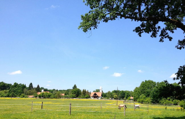 Kerca Bio Farm - Foto 73