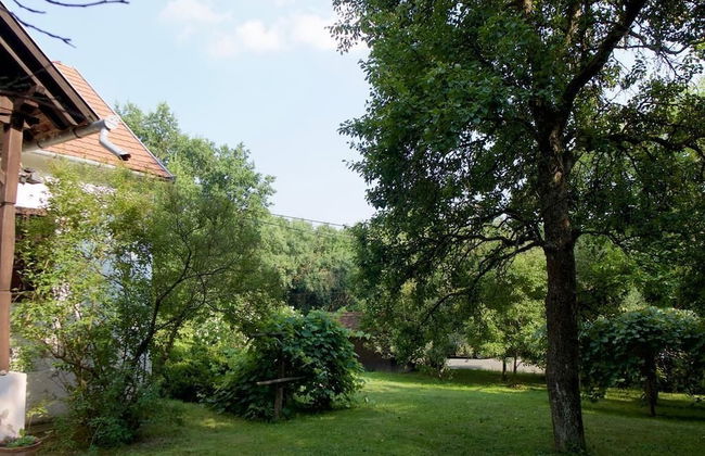 Kerca Bio Farm - Foto 62