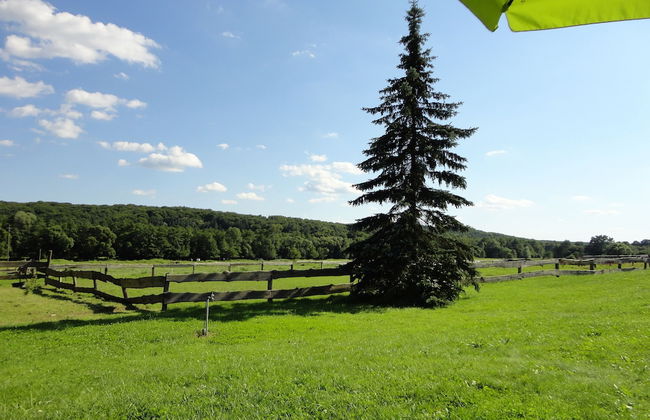 Kerca Bio Farm - Foto 74