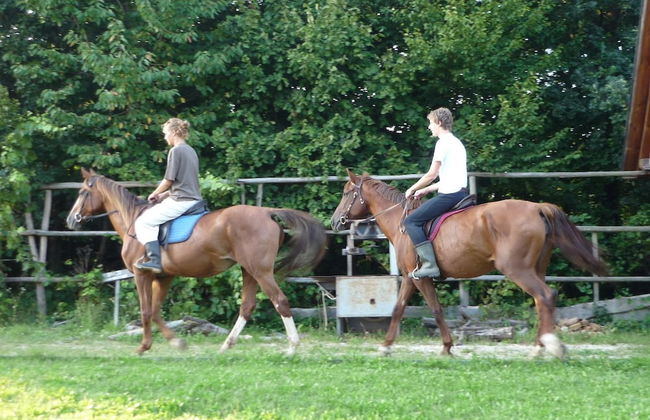 Kerca Bio Farm - Foto 51