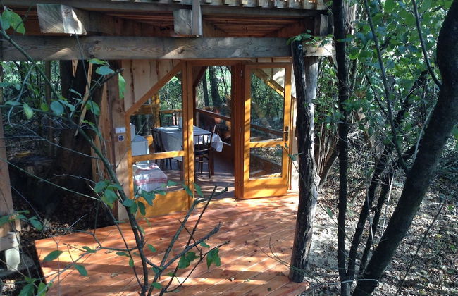 Kerca Bio Farm - Foto 32