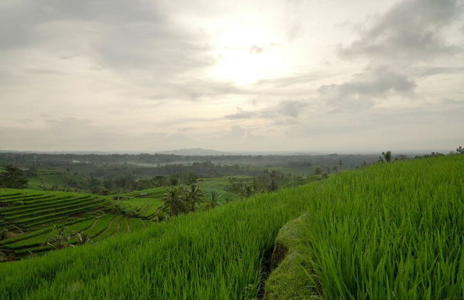 Dukuh Baturan Villa - Foto 16