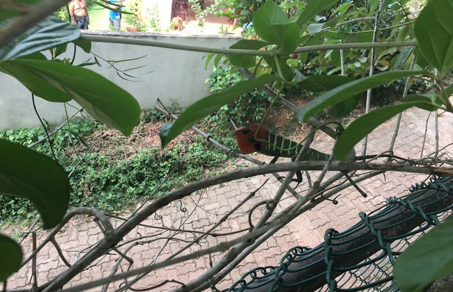 Mount House Hotel - Foto 23