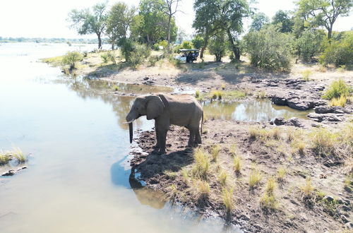 Foto 62 - Mopani Lodge