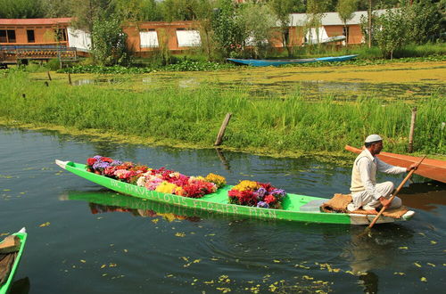 Foto 46 - Golden Crest Houseboats