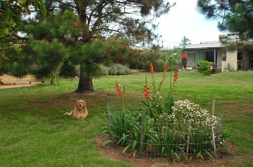 Foto 41 - La barra Punta del Este Casa 5 dormitorios