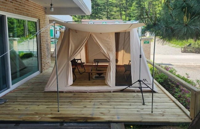 Dorothy's Forest Pension - Photo 15