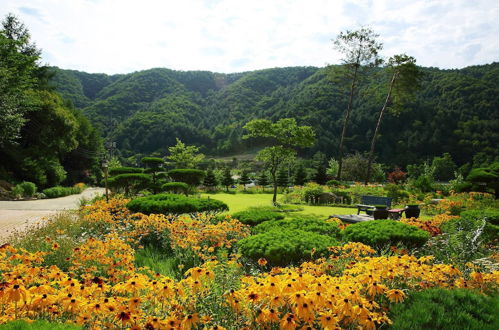 Photo 29 - Byeolmuri Pension