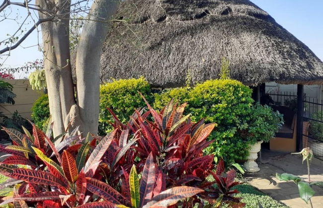 Charming 6-bed House With Swimming Pool in Harare - Foto 17