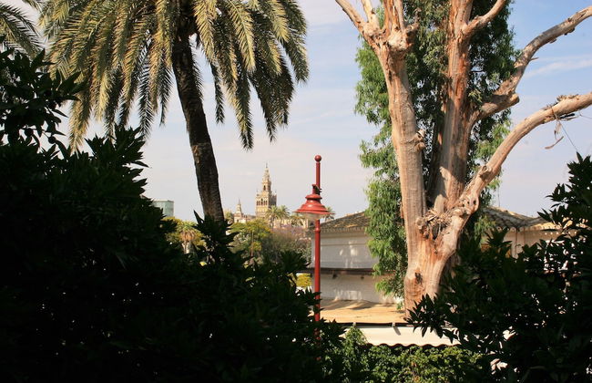 Seville Vacation Rentals - Giralda - Foto 13