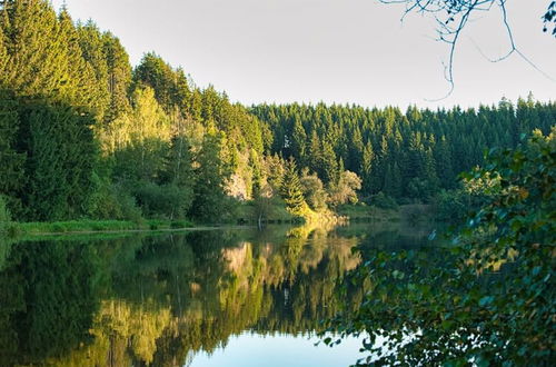 Photo 19 - Your Holiday Home in Hasselfelde in the Harz Mountains