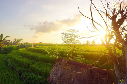 Foto 19 - Villa Annapurna Bali