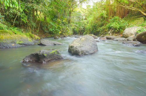 Foto 18 - Villa Annapurna Bali