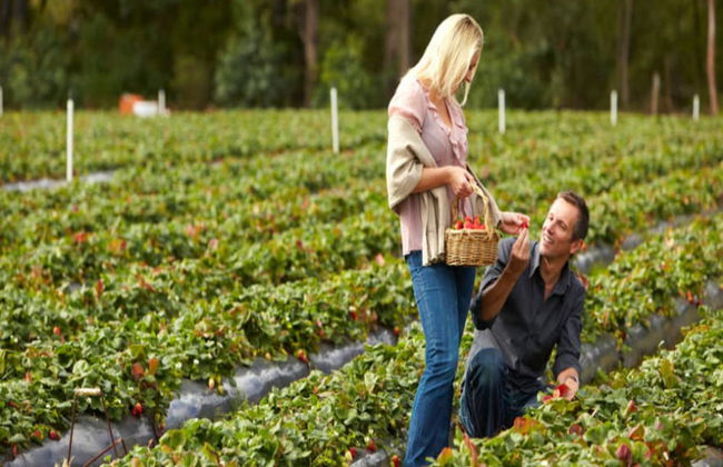 Carmel at Sorrento - Foto 55