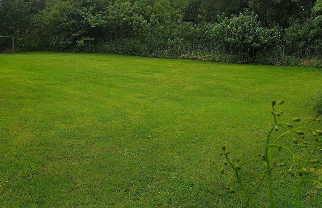 16 Person Holiday Home in Vestervig - Foto 36